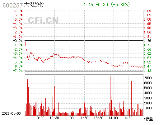 大湖股份引领行业变革，塑造未来蓝图新动态